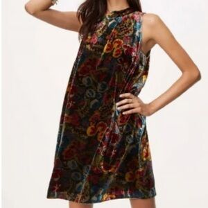 LOFT Women's XS Floral Velvet Swing Dress Knee Length Party Cocktail